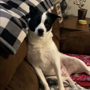 Meet your Posher, Allie